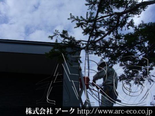 進捗状況