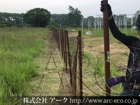 進捗状況