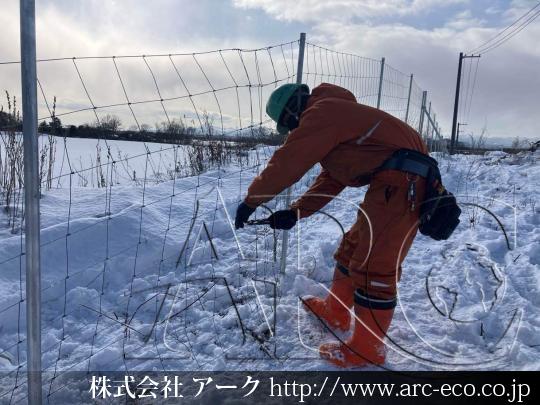 進捗状況