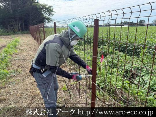 進捗状況