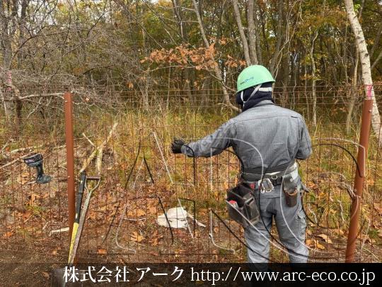 進捗状況