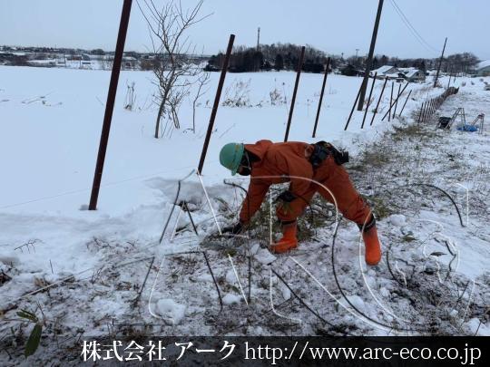 進捗状況