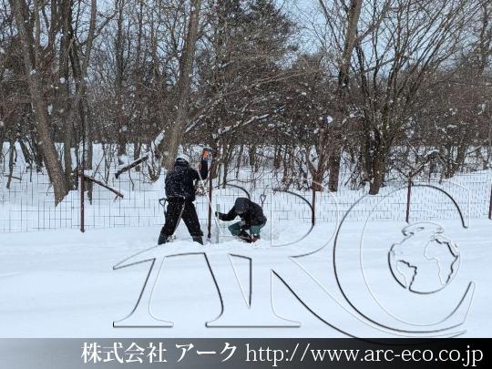 進捗状況