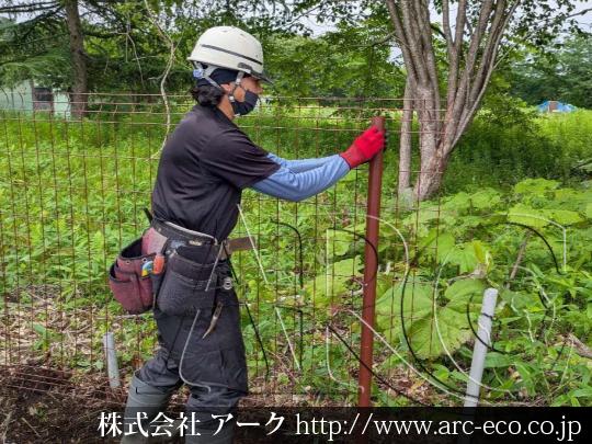 進捗状況