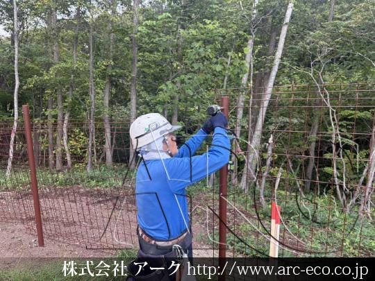 進捗状況