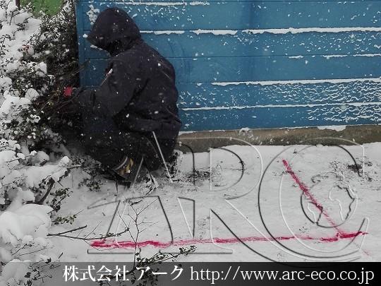 進捗状況