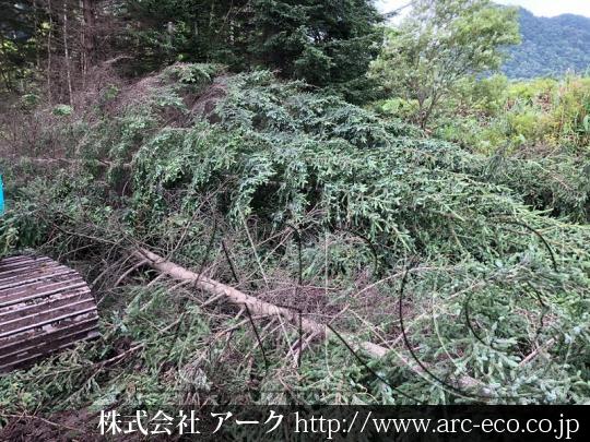 進捗状況
