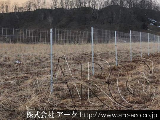 進捗状況