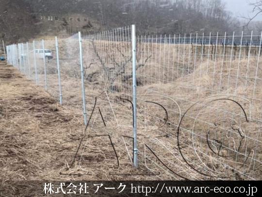 進捗状況