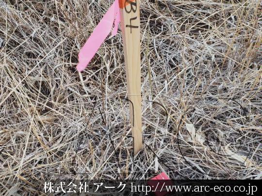 進捗状況