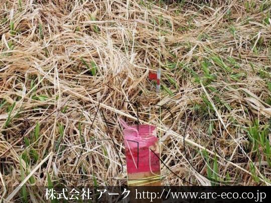 進捗状況