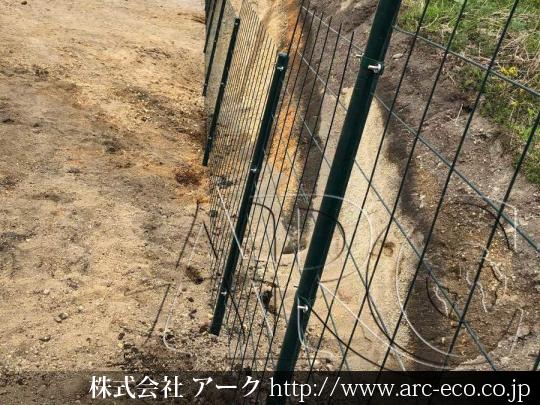 進捗状況