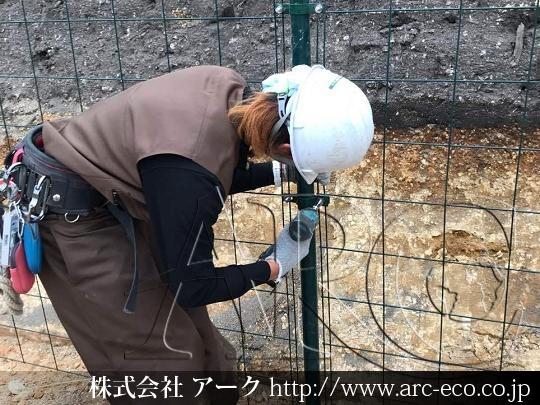 進捗状況