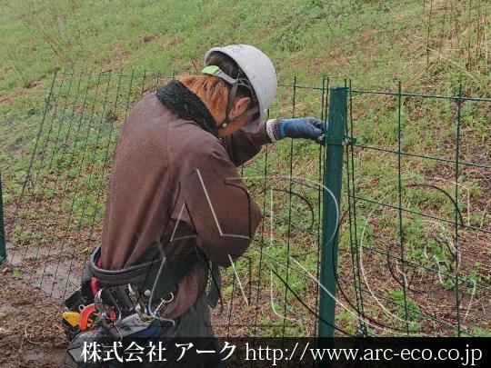 進捗状況