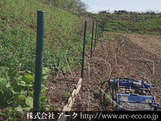 進捗状況