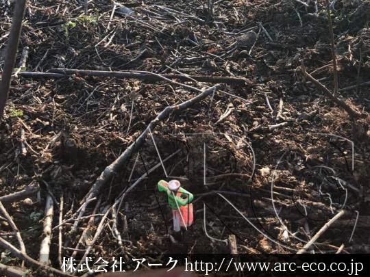 進捗状況