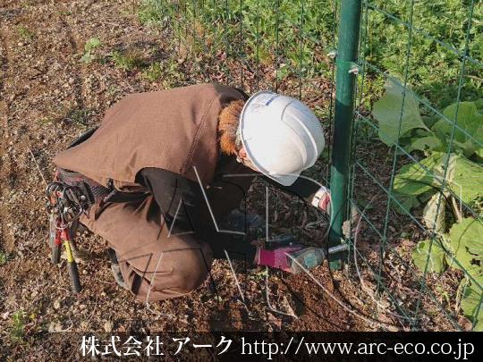 進捗状況