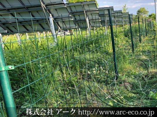 進捗状況