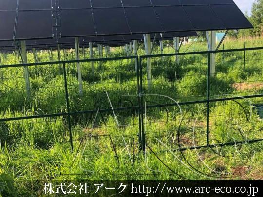 進捗状況