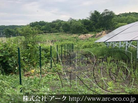 進捗状況