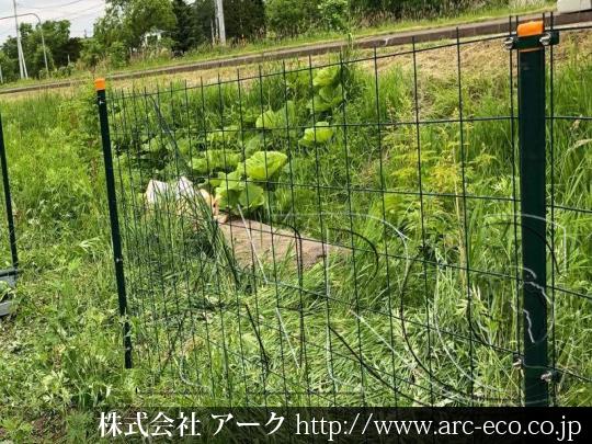 進捗状況