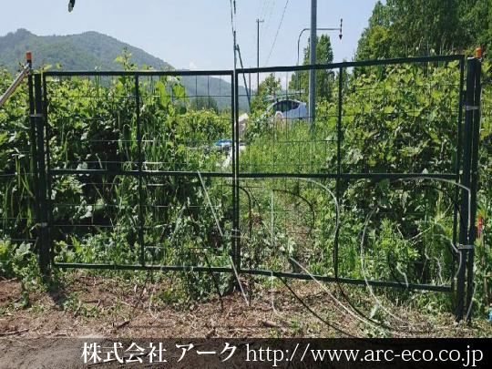進捗状況