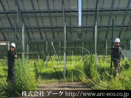 進捗状況