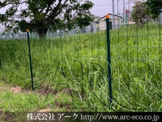 進捗状況