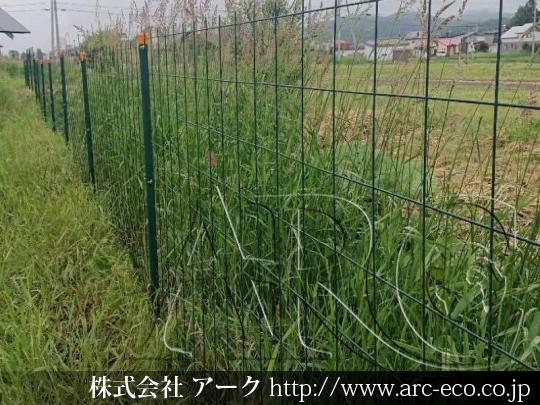 進捗状況
