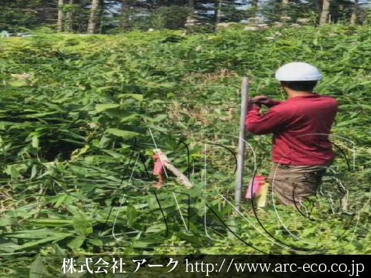 進捗状況