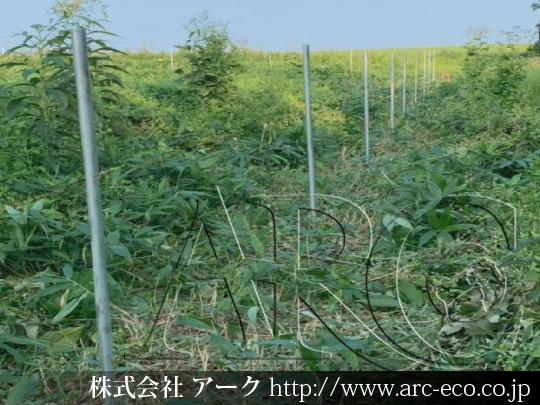 進捗状況