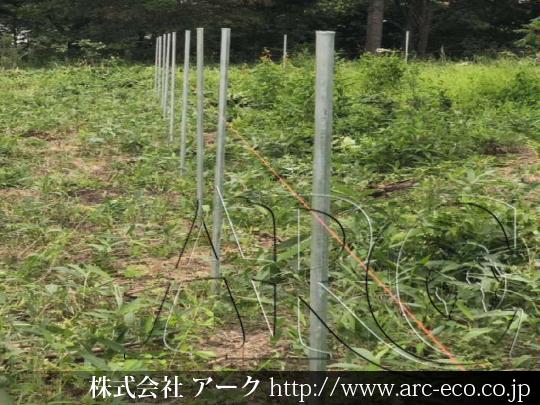 進捗状況