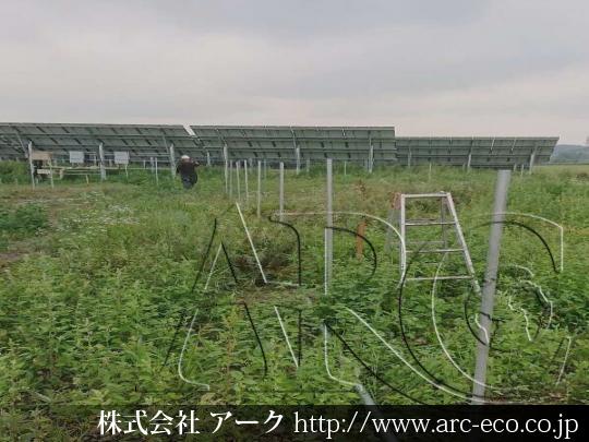 進捗状況