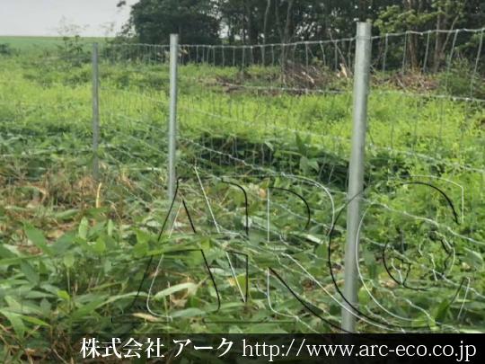 進捗状況