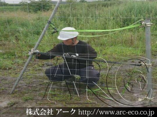 進捗状況