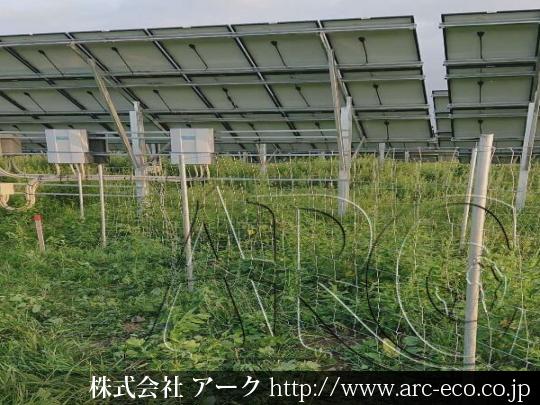 進捗状況