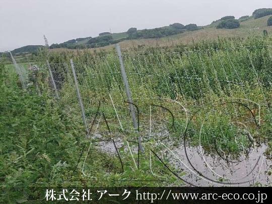 進捗状況