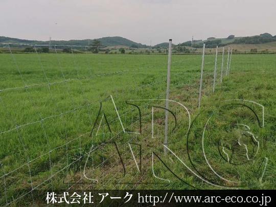 進捗状況