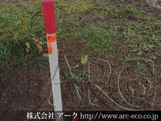 進捗状況