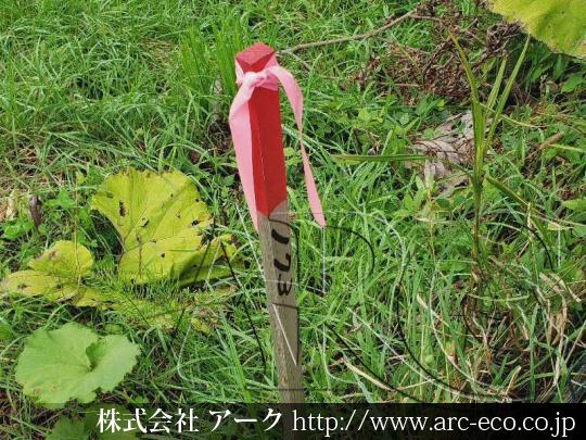 進捗状況