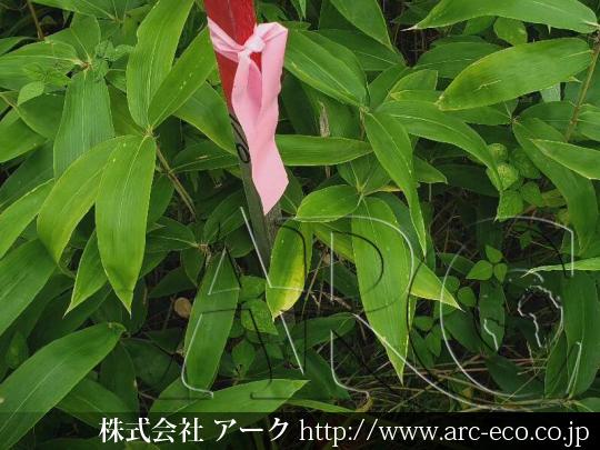 進捗状況