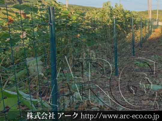 進捗状況