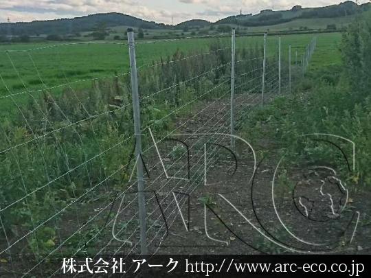 進捗状況