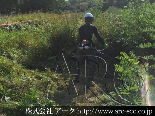 進捗状況