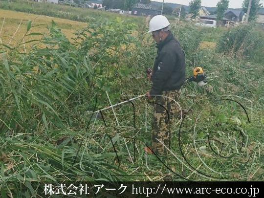 進捗状況