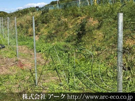 進捗状況