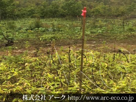 進捗状況