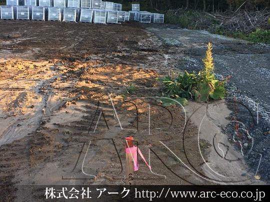 進捗状況