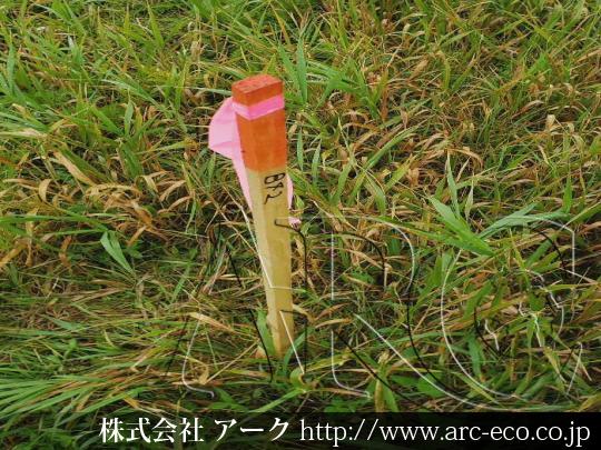 進捗状況