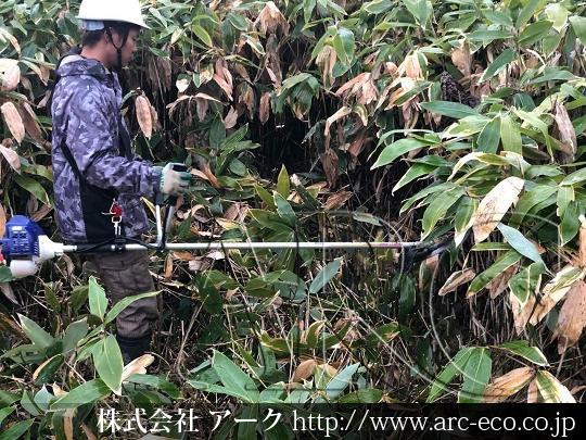 進捗状況
